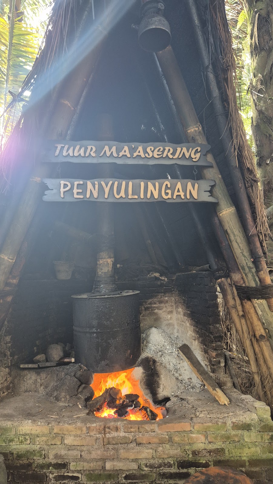 투우르 마세링 (Tuur Maasering) : 마나도 전통 증류주 찹티쿠스 양조장 체험