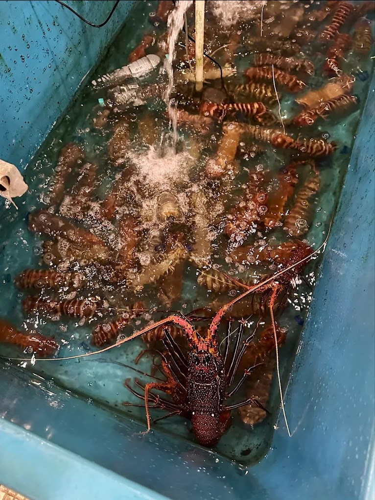 위사타 바하리 음식 1