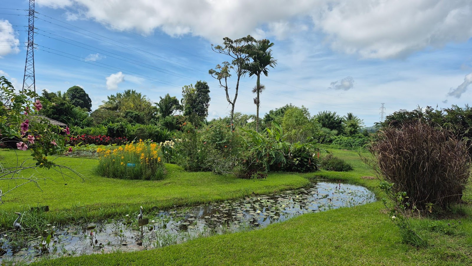가르데니아 내부