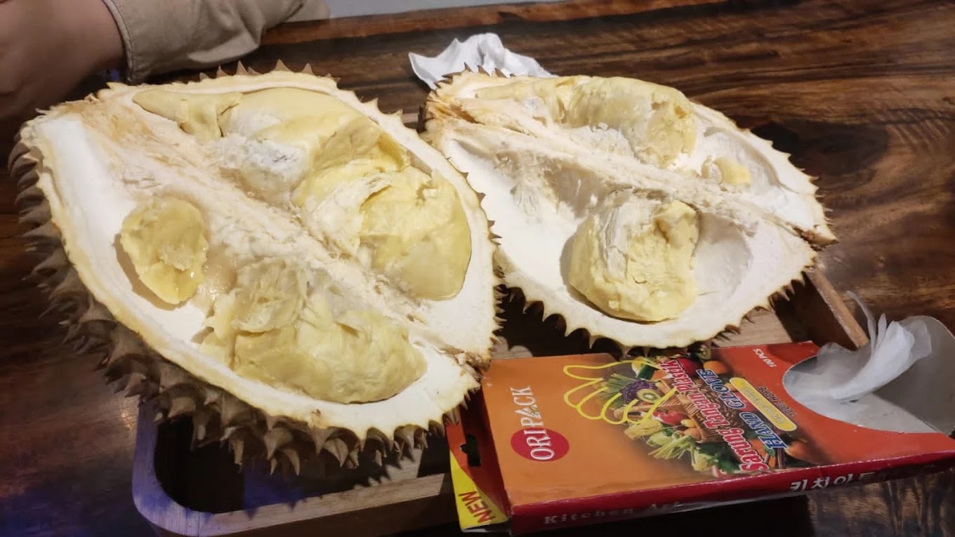 우마 두렌 외관